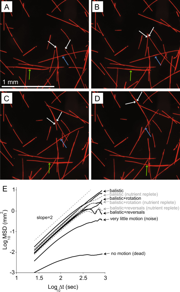 Fig. 3