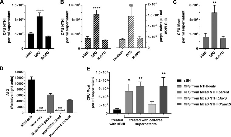 FIG 6