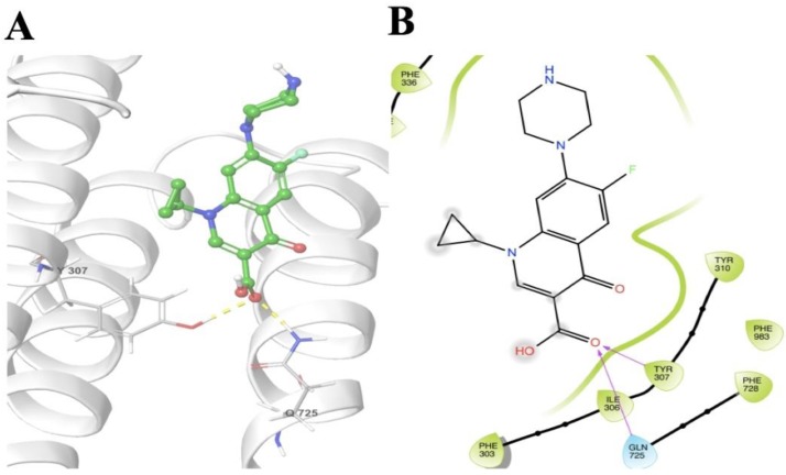 Figure 6