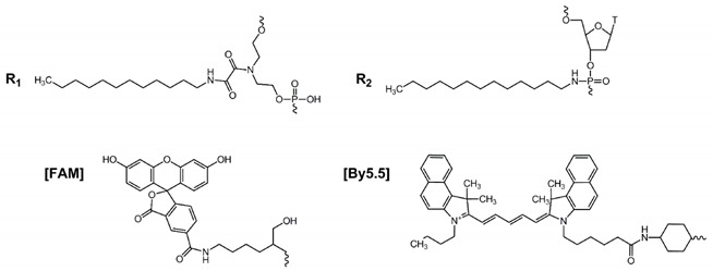 graphic file with name molecules-25-03663-i001.jpg