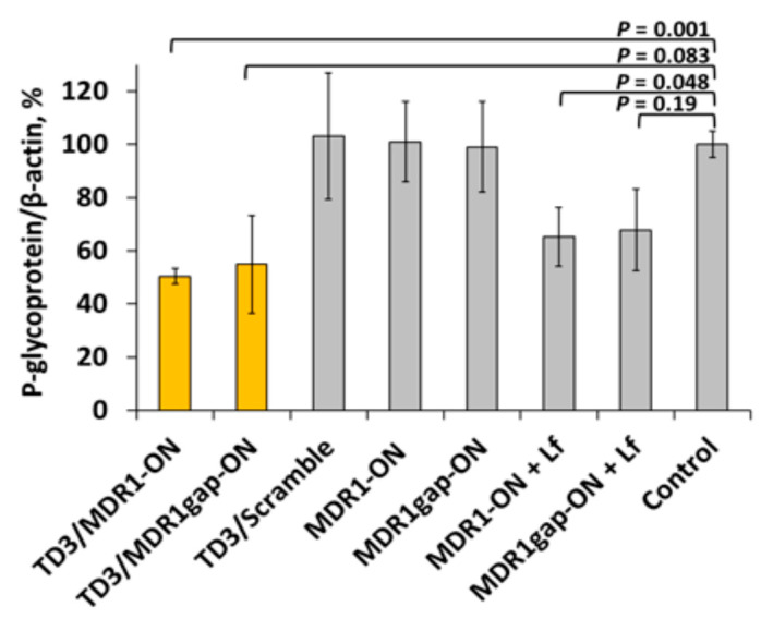 Figure 11