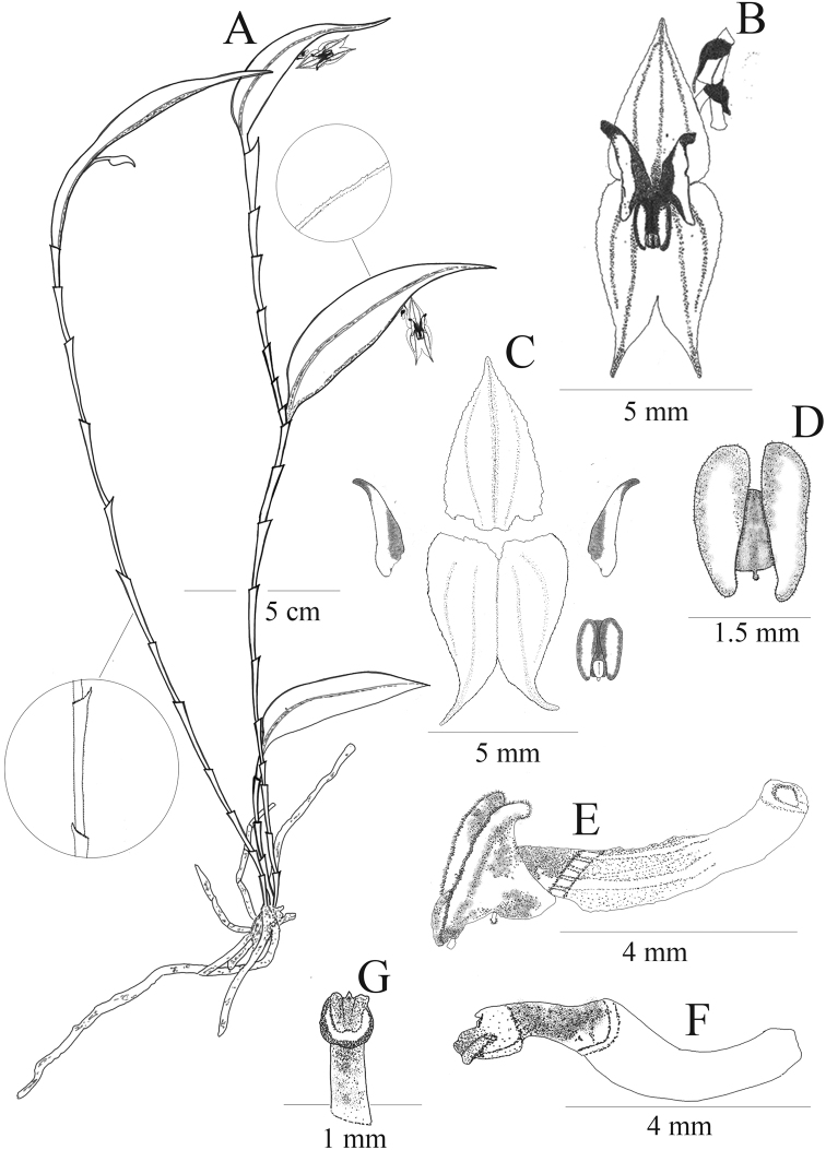 Figure 6.