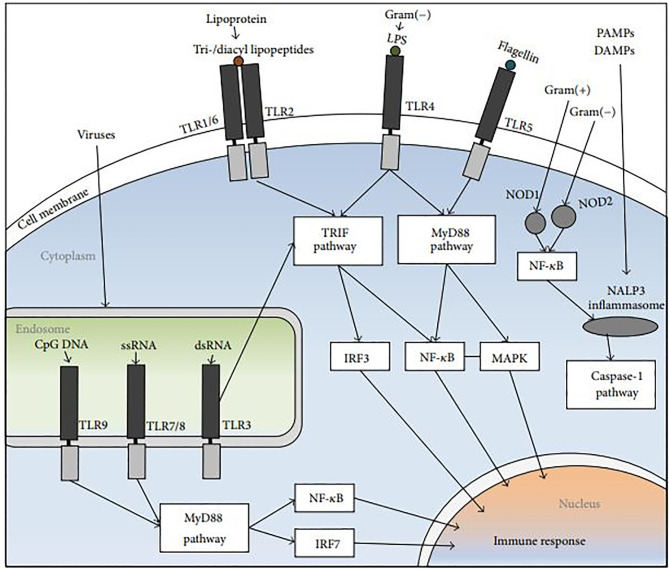 Figure 3