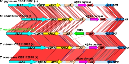 FIG. 3.