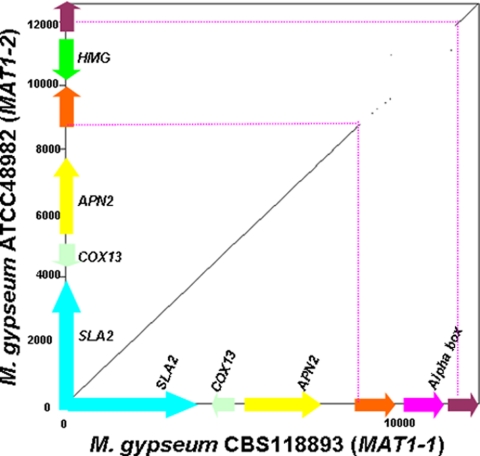 FIG. 1.