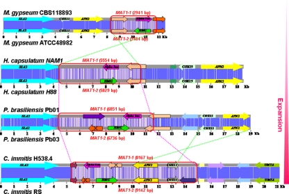 FIG. 2.