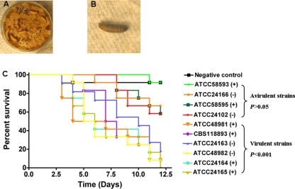 FIG. 7.