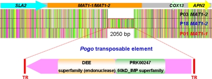 FIG. 8.