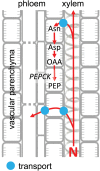 Fig. 6.
