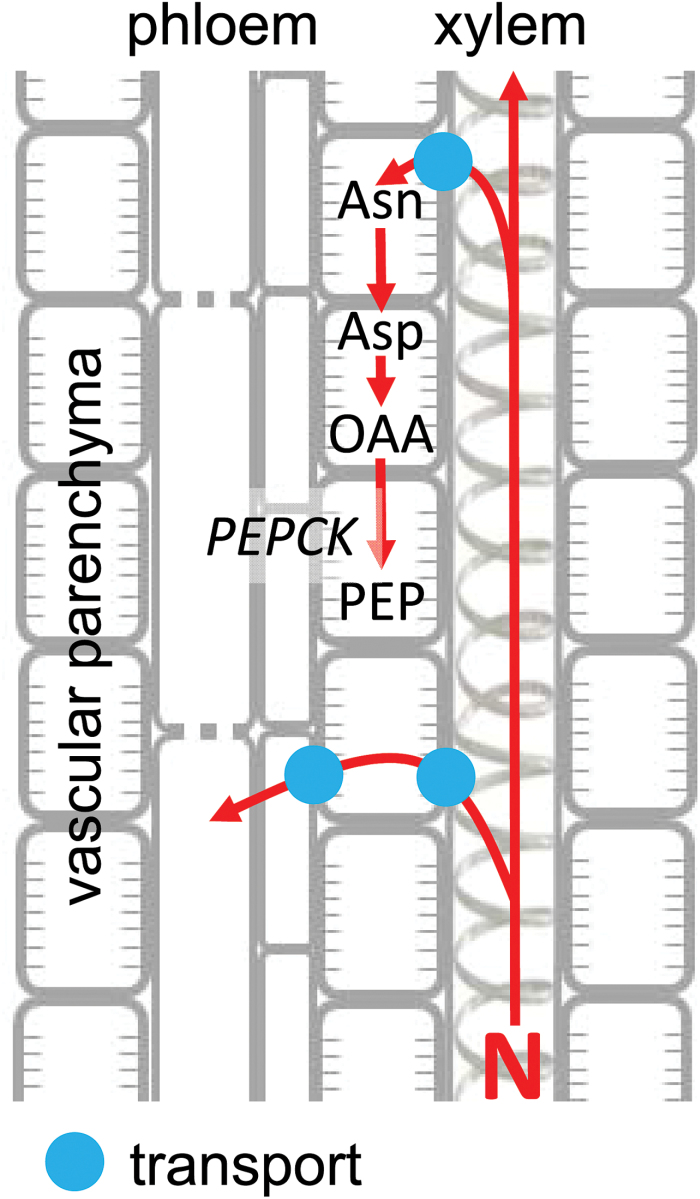 Fig. 6.