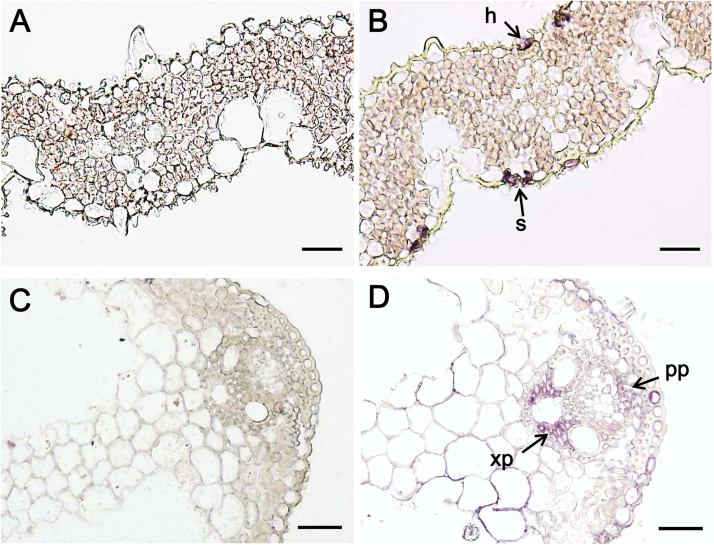 Fig. 5.