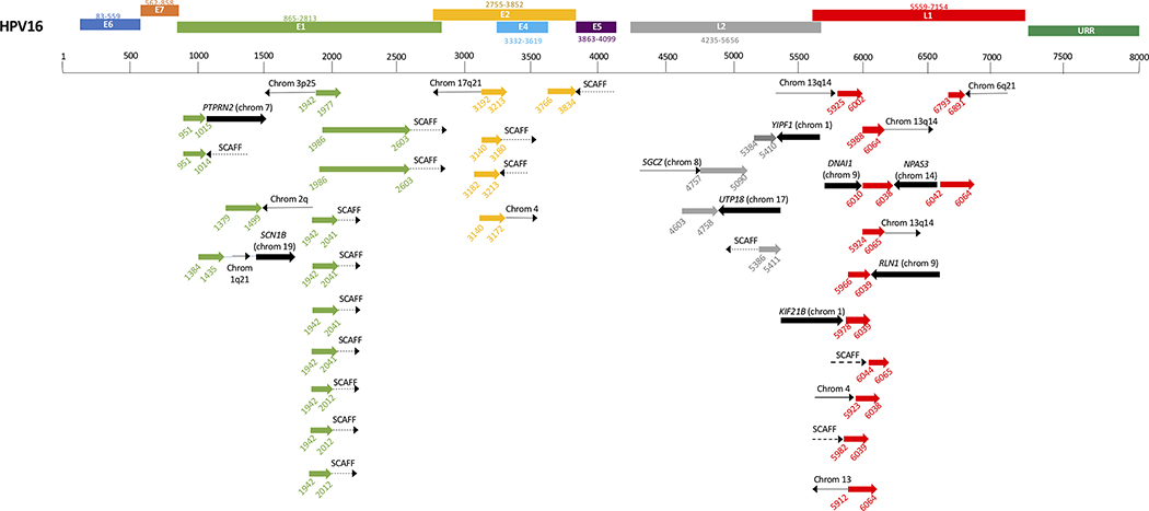 Figure 4: