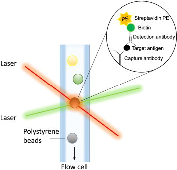 Fig. 4