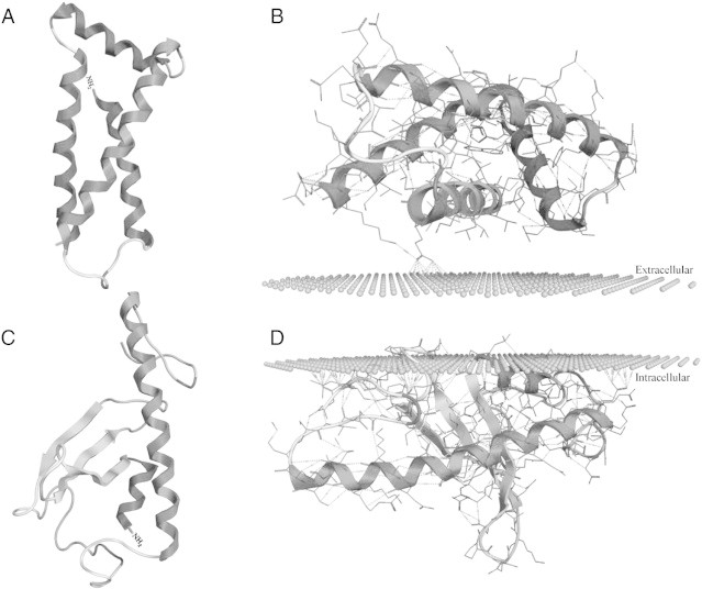 Fig. 6