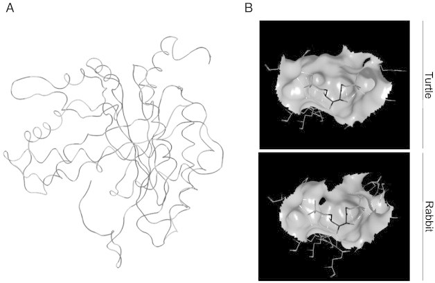 Fig. 5