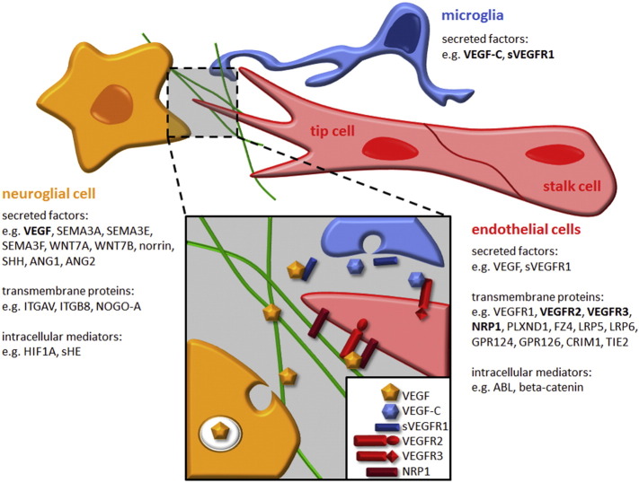 Fig. 2