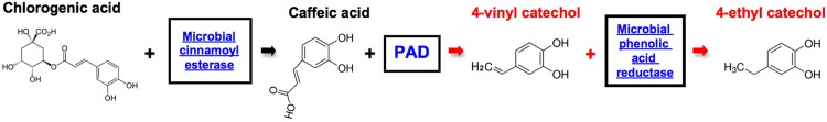 Fig 15