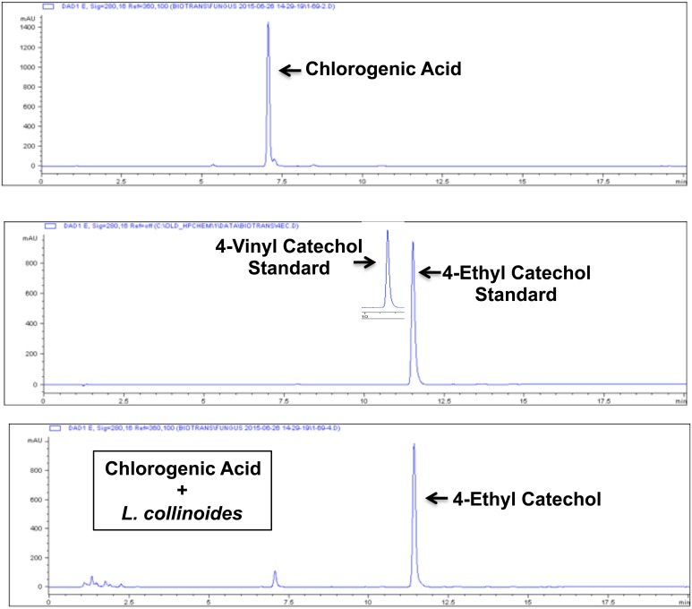 Fig 17