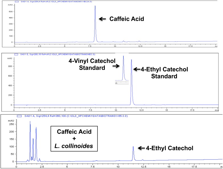 Fig 18