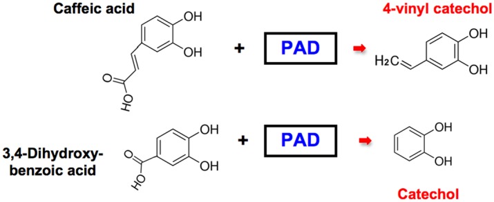 Fig 9