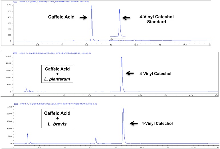 Fig 11