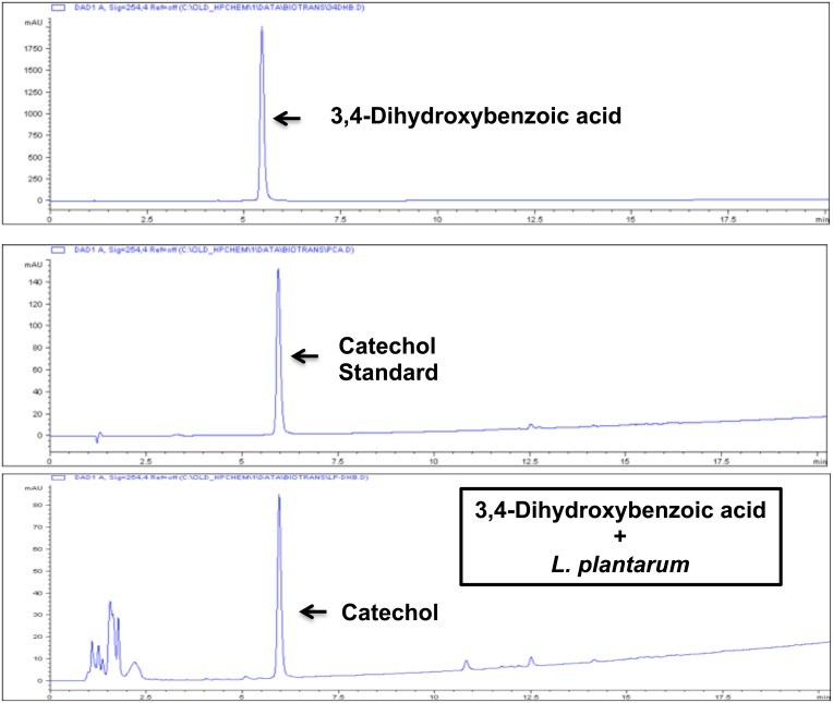 Fig 13