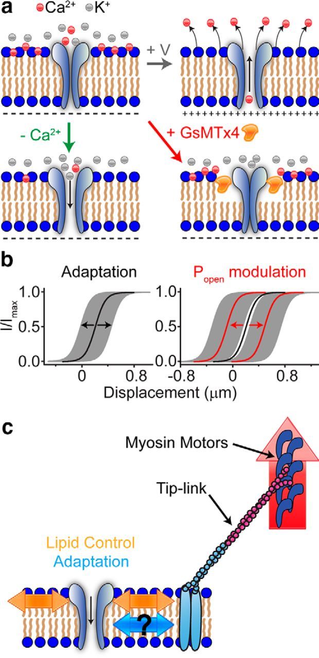 Figure 12.