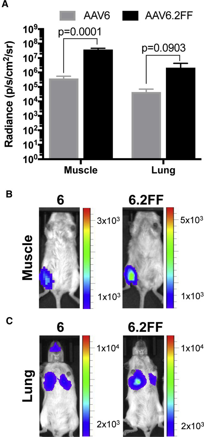 Figure 3