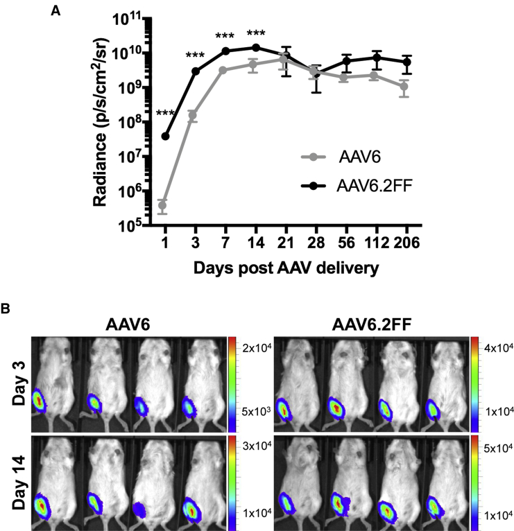 Figure 4