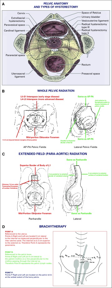 FIG 1.