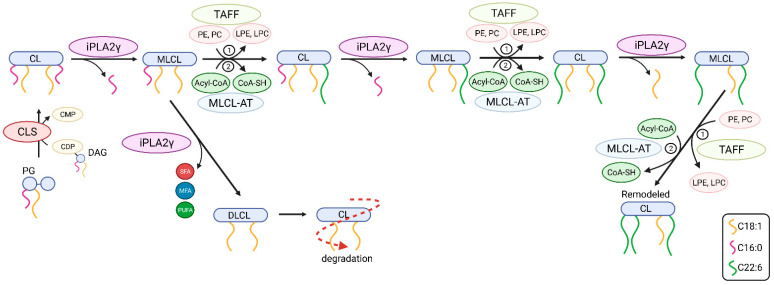 Figure 10