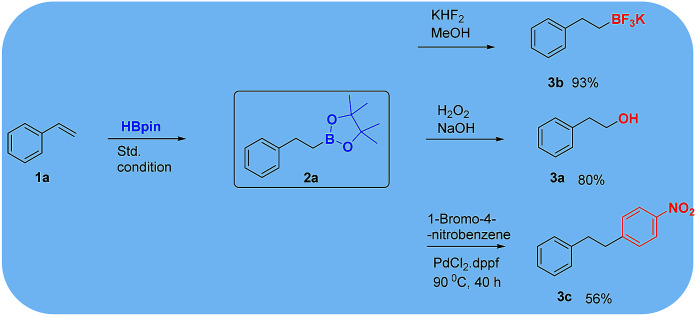 Scheme 3