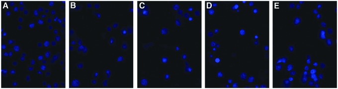 FIG. 3.