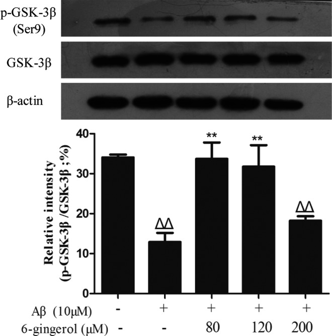 FIG. 8.