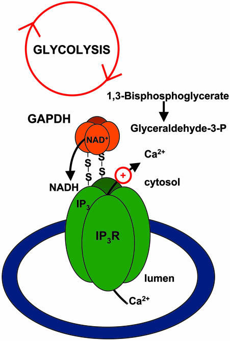 Fig. 3.