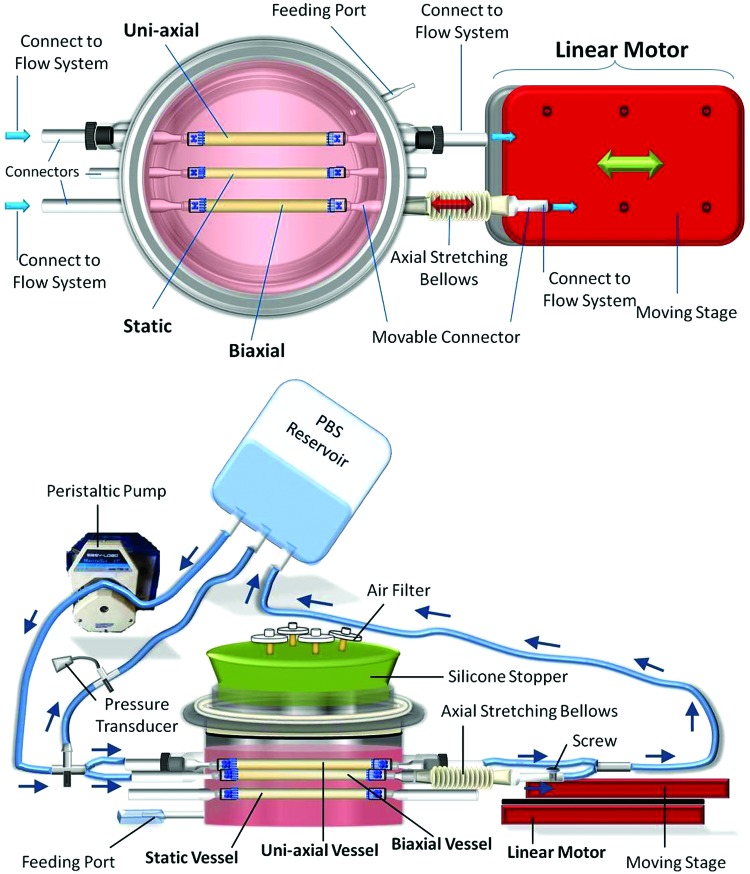 FIG. 1.