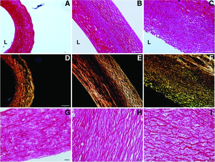 FIG. 8.