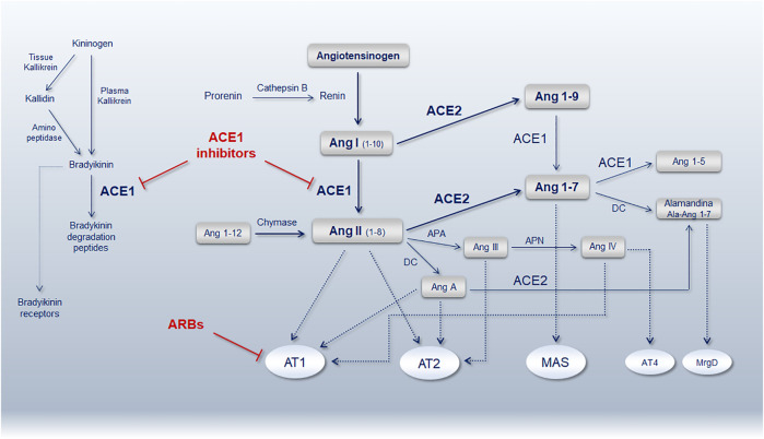 FIGURE 2