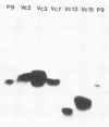 340