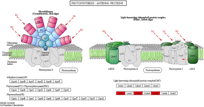 Fig 4