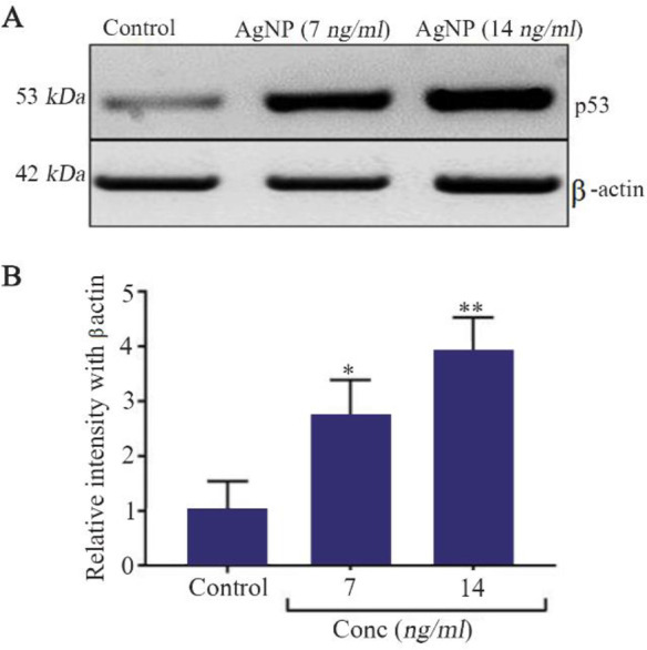 Figure 6.