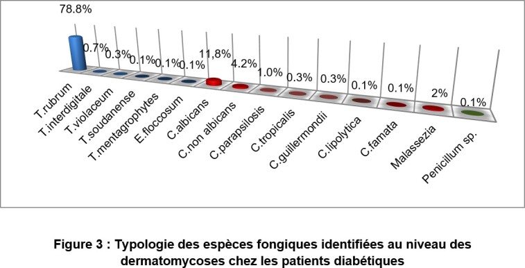 Figure 3: Typologie des espèces fongiques identifiées au niveau des dermatomycoses chez les patients diabétiques 