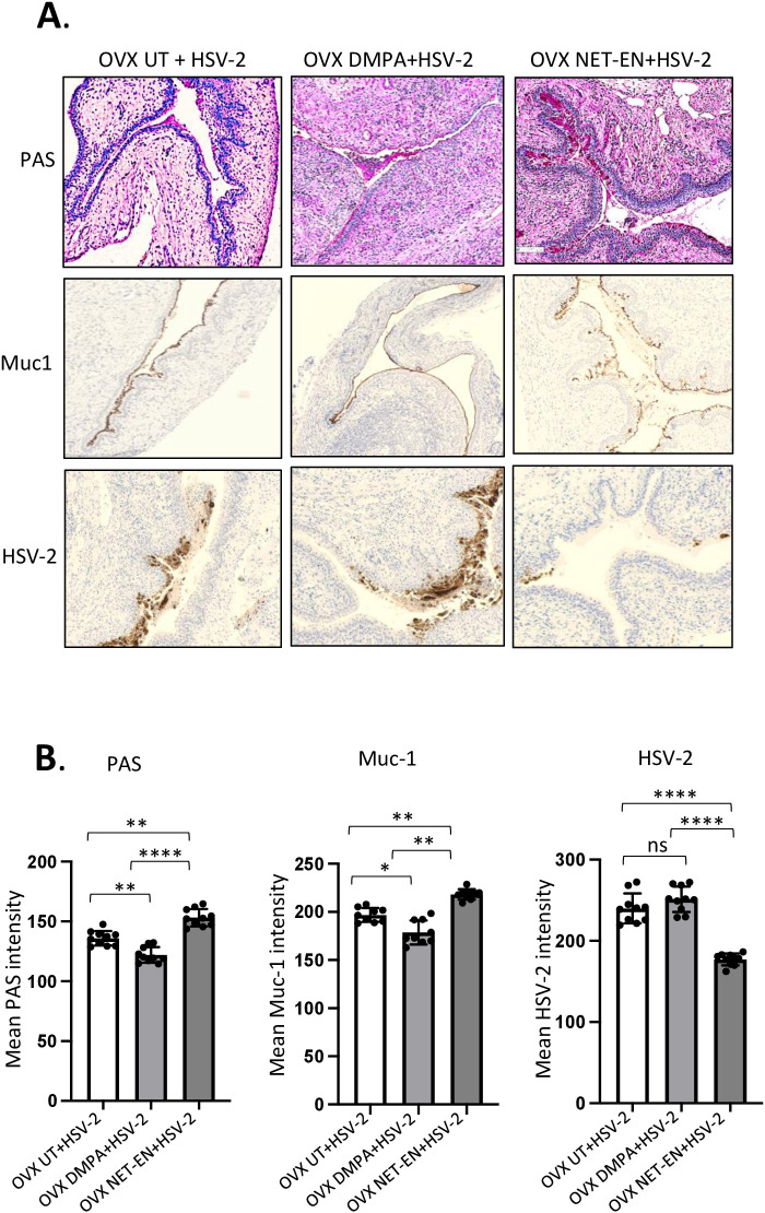 Figure 7