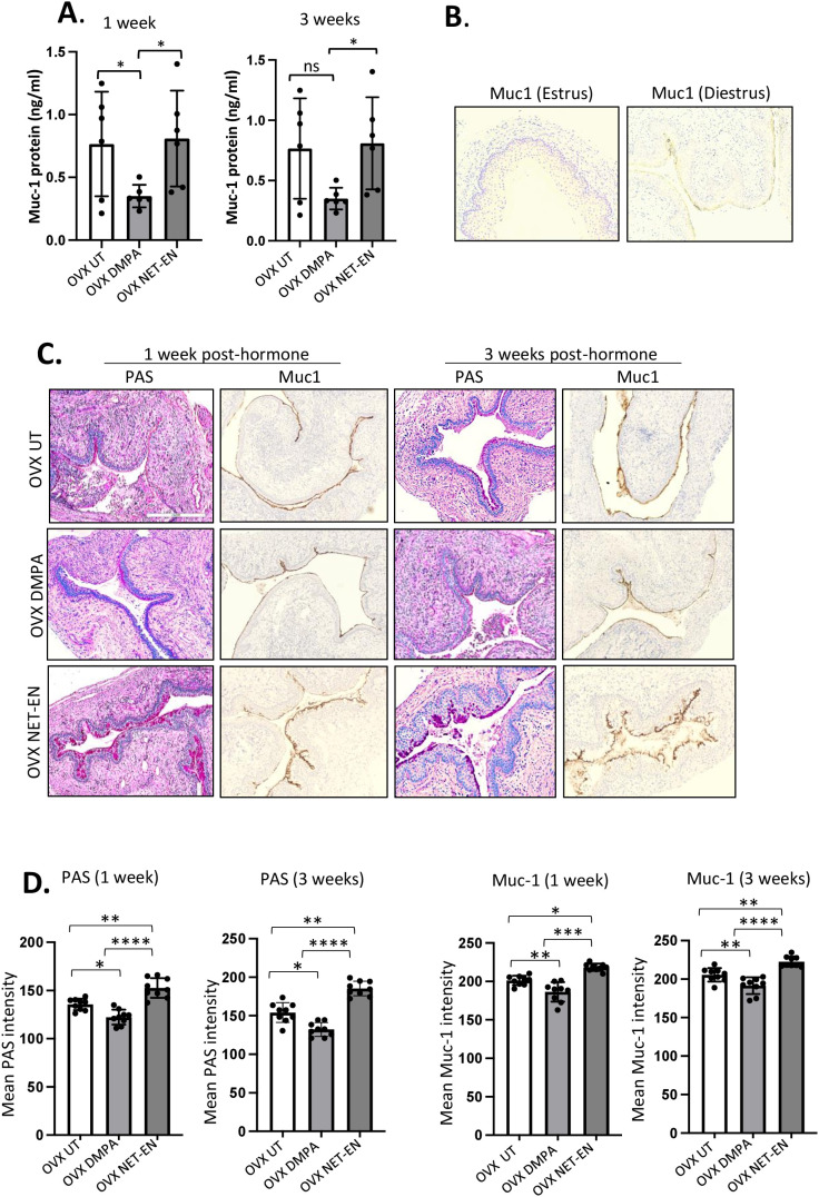 Figure 6