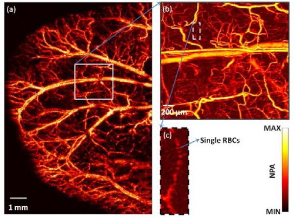 Fig. 3