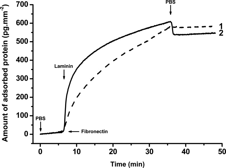 FIG. 1.