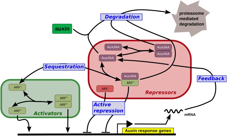 Fig 2