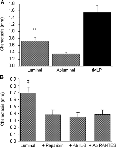 Figure 5