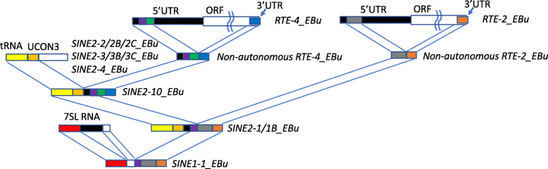 Fig. 4