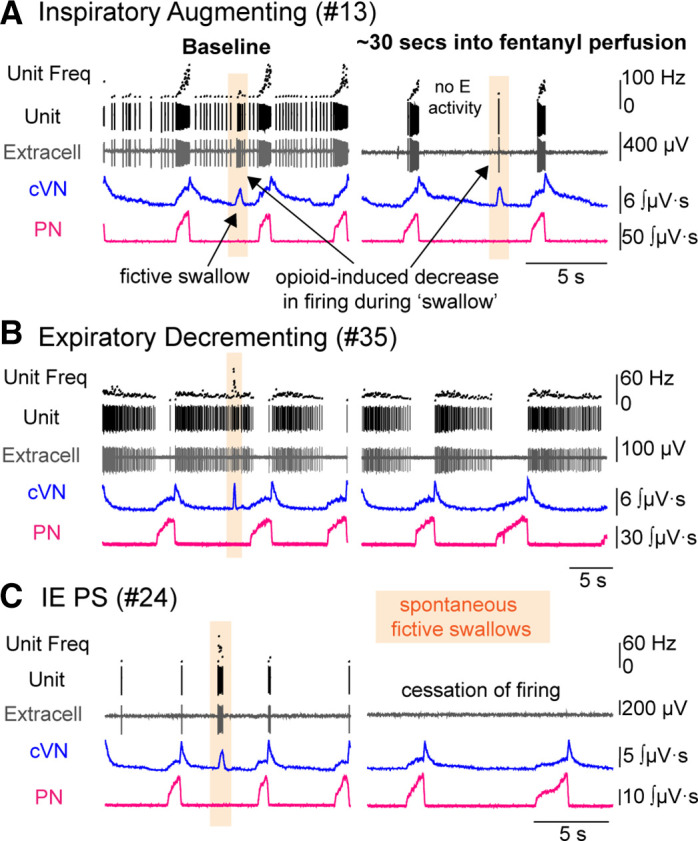 Figure 10.